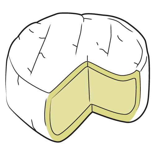 認知機能の維持 改善に好影響の可能性が示唆されるカマンベールチーズ カビ発酵チーズ とカマンベールチーズの白カビを使ってつくったカマンベーコンが大注目 林修の 今でしょ 講座 News Every